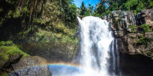 Ubud: Waterfall, Rice Terraces & Monkey Forest