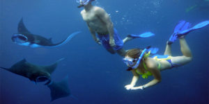 Nusa Penida Snorkeling Tour + Fast Boat & Hotel Transfer