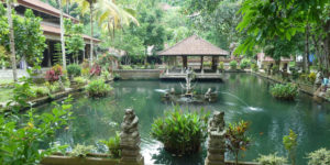 Ubud Rice Terraces, Temple & Monkey Forest