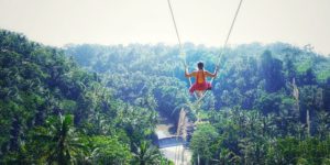 Best of Ubud Tour with Jungle Swing